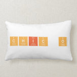 chic o  Pillows (Lumbar)