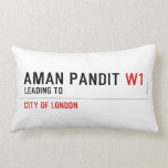 Aman pandit  Pillows (Lumbar)
