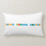 Happy Birthday Meaghan  Pillows (Lumbar)