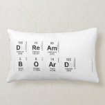 dream
 board   Pillows (Lumbar)