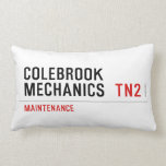 Colebrook Mechanics   Pillows (Lumbar)