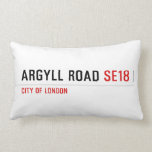 Argyll Road  Pillows (Lumbar)