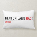 Kenton Lane  Pillows (Lumbar)
