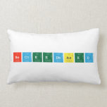 HECNeedBased  Pillows (Lumbar)