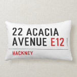 22 ACACIA AVENUE  Pillows (Lumbar)