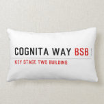 Cognita Way  Pillows (Lumbar)