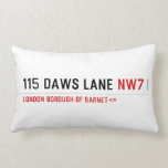 115 Daws LANE  Pillows (Lumbar)