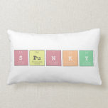 Spunky  Pillows (Lumbar)