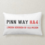 Pinn Way  Pillows (Lumbar)