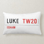 LUKE   Pillows (Lumbar)