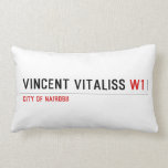 vincent vitaliss  Pillows (Lumbar)