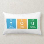 you   Pillows (Lumbar)