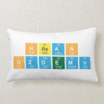 Hasan
 OZDEMIR   Pillows (Lumbar)