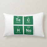 TeC
 HNo  Pillows (Lumbar)