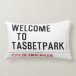 Welcome    to  Tasbetpark  Pillows (Lumbar)