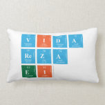 VIDA
 REZA
 EI  Pillows (Lumbar)