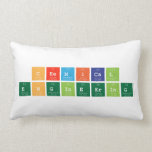Chemical 
 Engineering  Pillows (Lumbar)