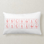 intelligent
 entourage   Pillows (Lumbar)
