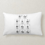 Who
 WHat
 When
 Where  Pillows (Lumbar)