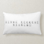 Critical Element
 TECHNOLOGY  Pillows (Lumbar)