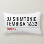 DJ SHIMTONIC TEMBISA 1632  Pillows (Lumbar)