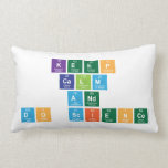 Keep
 Calm
 and
 Do Science  Pillows (Lumbar)