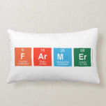 Farmer  Pillows (Lumbar)