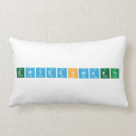 gwyddoniaeth  Pillows (Lumbar)