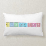 Calculators  Pillows (Lumbar)