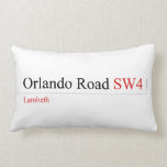 Orlando Road  Pillows (Lumbar)