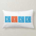 DIAZ  Pillows (Lumbar)