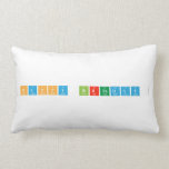 HAPPY BIRTHDAY   Pillows (Lumbar)