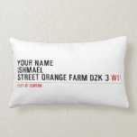 Your Name ishmael Street orange farm dzk 3  Pillows (Lumbar)