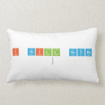 I will Retire
   Pillows (Lumbar)
