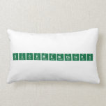 BuckMEMEsters  Pillows (Lumbar)