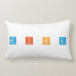 M I N A  Pillows (Lumbar)