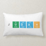 Judah  Pillows (Lumbar)
