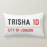 Trisha  Pillows (Lumbar)
