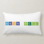 REBECCA SNELL  Pillows (Lumbar)