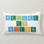 Welcome
 to
 Science  Pillows (Lumbar)