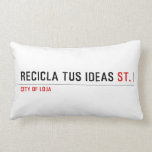 RECICLA TUS IDEAS  Pillows (Lumbar)