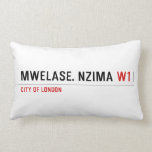 MWELASE. NZIMA  Pillows (Lumbar)
