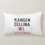    KANGEN CELLINA     Pillows (Lumbar)