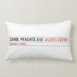 CAROL PEACHES AVE  Pillows (Lumbar)