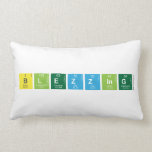 Blezzing  Pillows (Lumbar)
