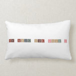 CUB SCOUT STEM LOCK IN  Pillows (Lumbar)
