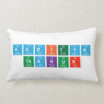 Aaditya
 THakur  Pillows (Lumbar)