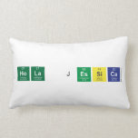 hola jessica  Pillows (Lumbar)