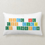 Some are
 Too dumb 
 To understand  Pillows (Lumbar)