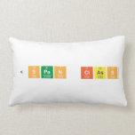  <span class  Pillows (Lumbar)